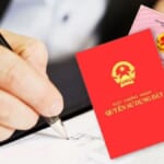 Nhận Làm Hồ sơ đất xã Thạnh Đức tỉnh Tây Ninh – Dịch vụ trọn gói, uy tín và nhanh chóng cho mọi nhu cầu đất đai