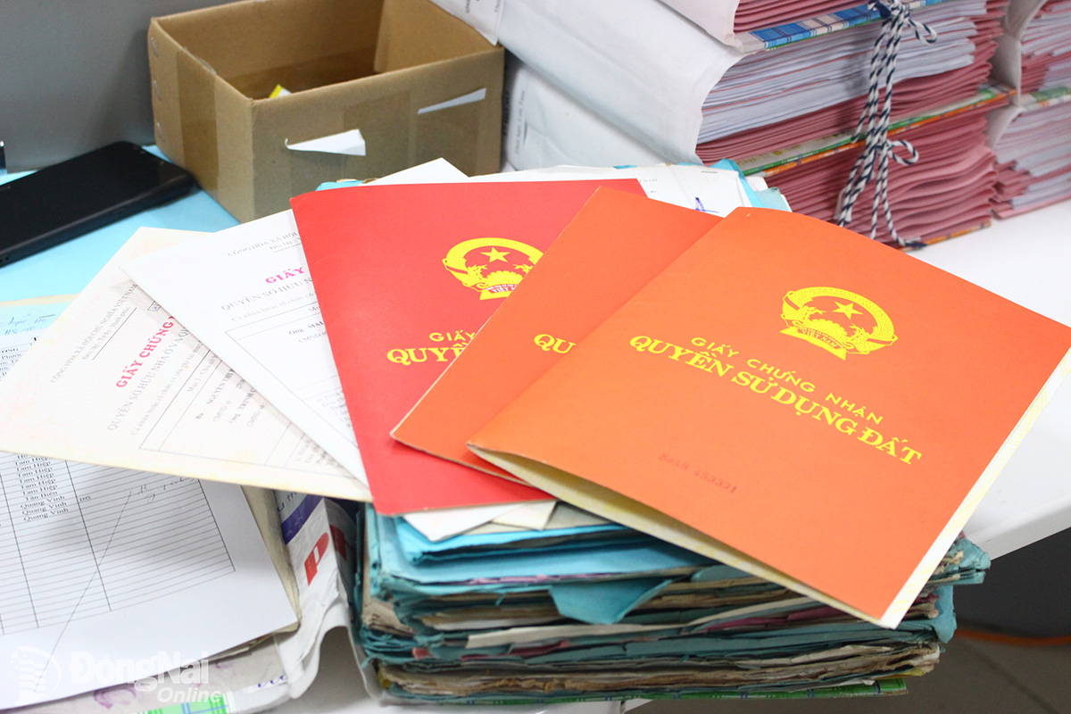 Nhận làm hồ sơ đất Phường Gia Lộc tỉnh Tây Ninh – Giải pháp uy tín cho mọi nhu cầu pháp lý về đất đai của cá nhân & doanh nghiệp