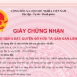Nhận Làm Hồ sơ đất xã Tân Biên tỉnh Tây Ninh – Giải pháp uy tín và nhanh chóng cho người dân và doanh nghiệp