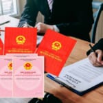 Nhận Làm hồ sơ đất xã Tân Hòa tỉnh Tây Ninh - Chuyên xử lý hồ sơ khó