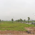 Công ty hợp thửa đất Tây Ninh được đông đảo khách hàng ưa chuộng