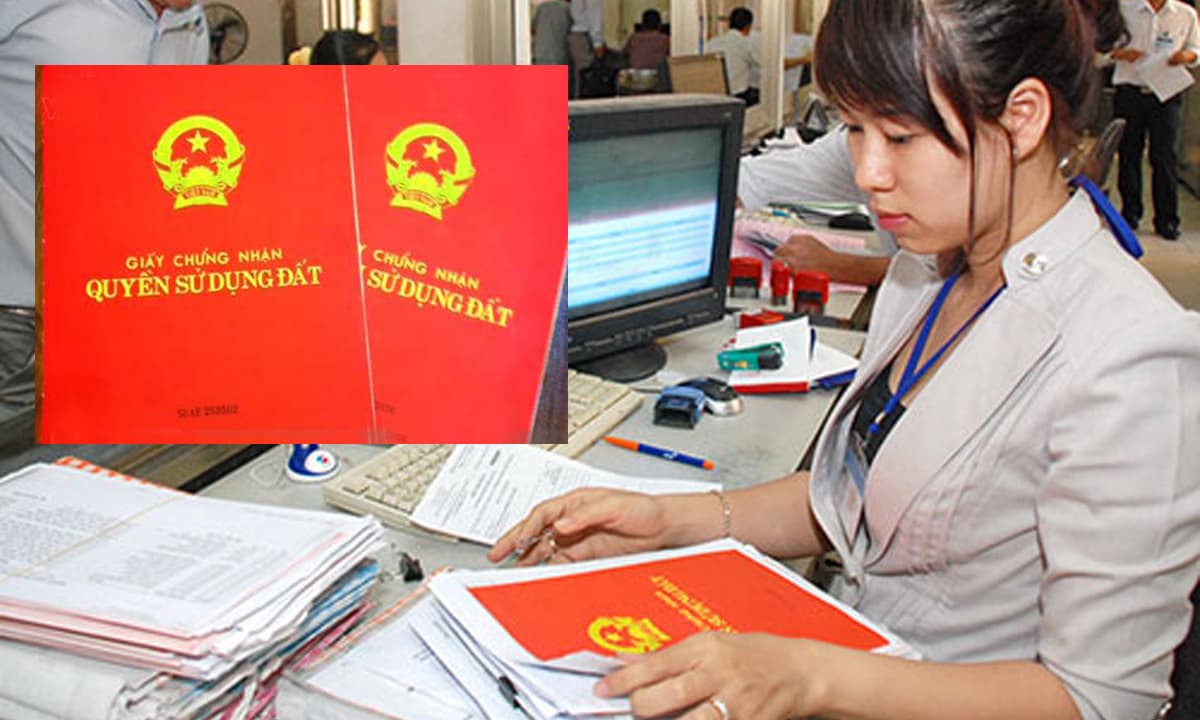 Nhận Làm Hồ sơ đất xã Thạnh Bình tỉnh Tây Ninh – Dịch vụ uy tín, chuyên nghiệp và nhanh chóng