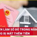 Nhận Làm hồ sơ đất xã Tân Phú tỉnh Tây Ninh - Dịch vụ chuyên nghiệp