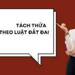 Dịch vụ tách thửa đất Tây Ninh chuyên nghiệp và uy tín nhất hiện nay